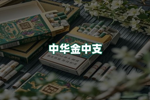 中华金中支